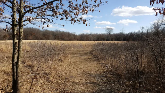 Camp Cozy Park (No Camping)