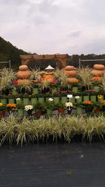 Okefenokee Fair Association