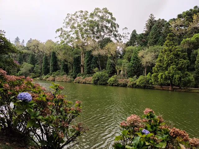 Pedalinho Cisne do Lago Negro