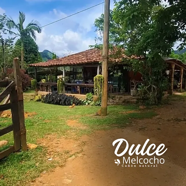 Cañón Dulce Melcocho