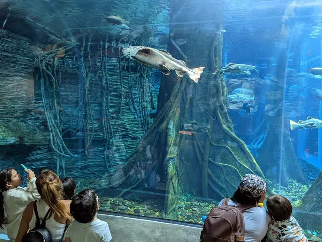 Aquarium Medellin