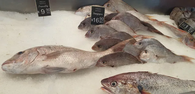 Takitimu Seafoods Hastings