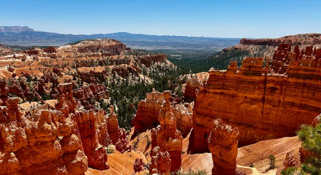 Zion Stays Vacation Rentals