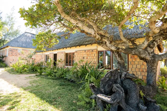 Sunset Lodge & The Thirsty Parrot