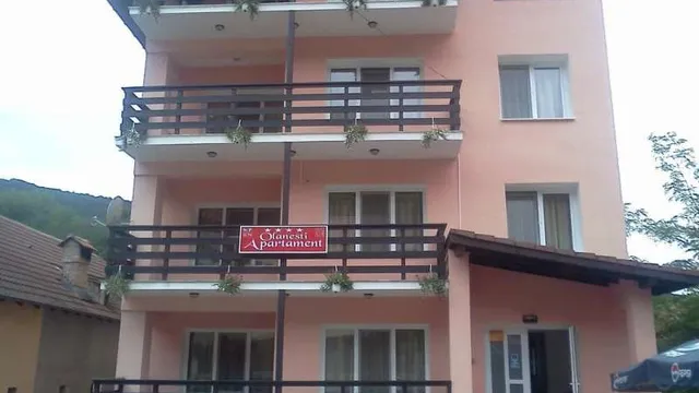 Olanesti Apartaments