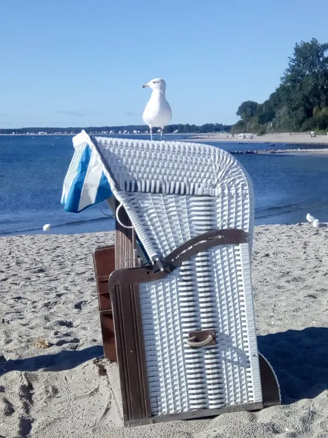 Ferienwohnung Ostseeparadies