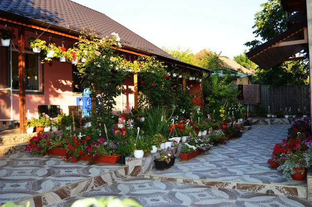 Pensiunea Happy Flowers - cazare comuna Greci
