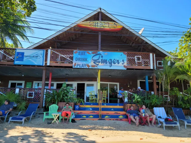 Gingers Caribbean grill