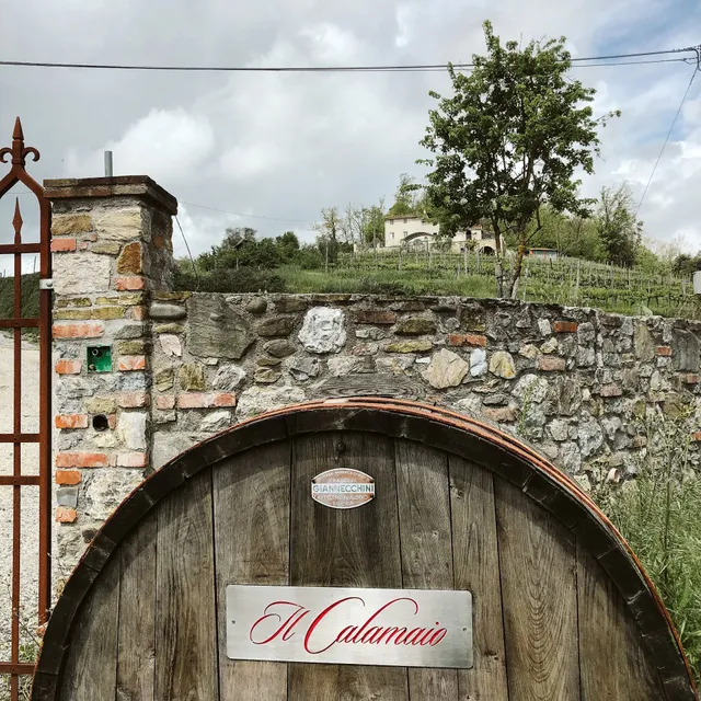 Azienda Agricola Il Calamaio