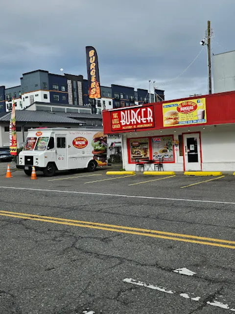 The Little Chicken Burgers