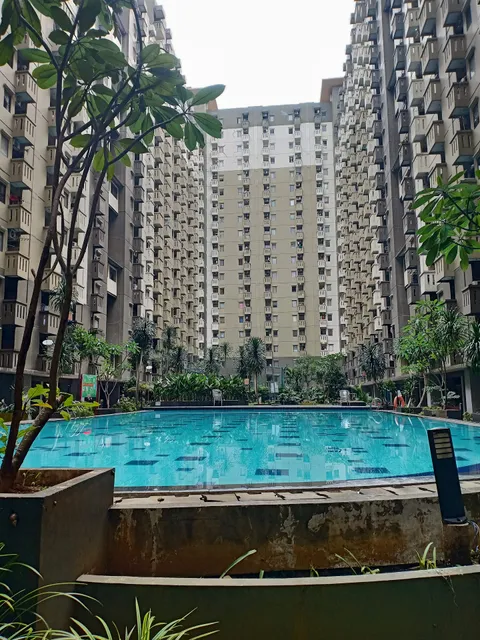 Holamigos at Gateway Cicadas