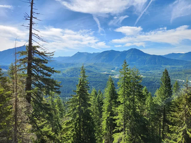 Talus Loop Trail Viewpoint