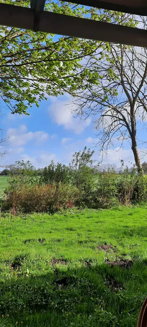 Töpferhaus und Ferienwohnung Steinberg