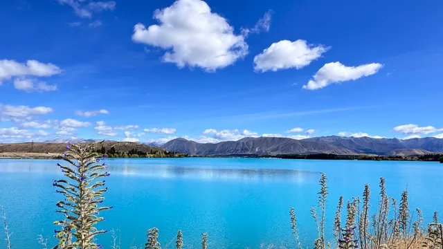 Lake Pukaki Viewpoint
