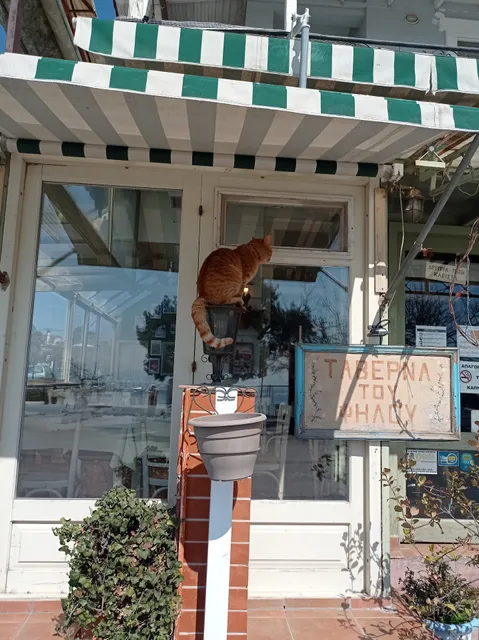 Ταβέρνα "Του Ψηλού"