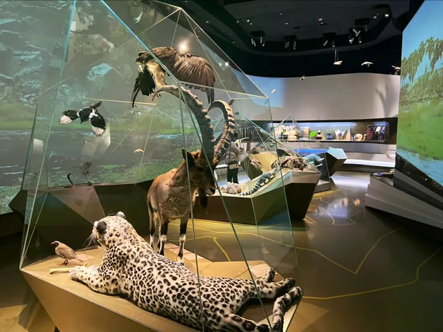 Ithra Museum Galleries