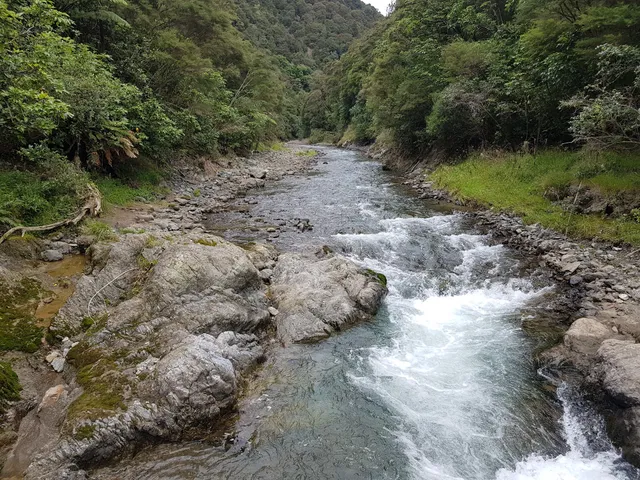 Rangitaiki River