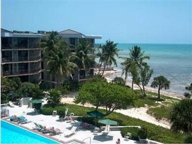 Coconut Palms of Key West