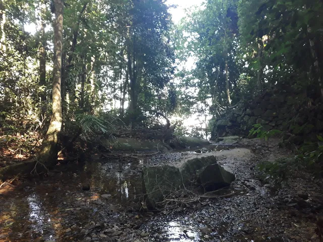 Trilha Parque Lage para o Corcovado