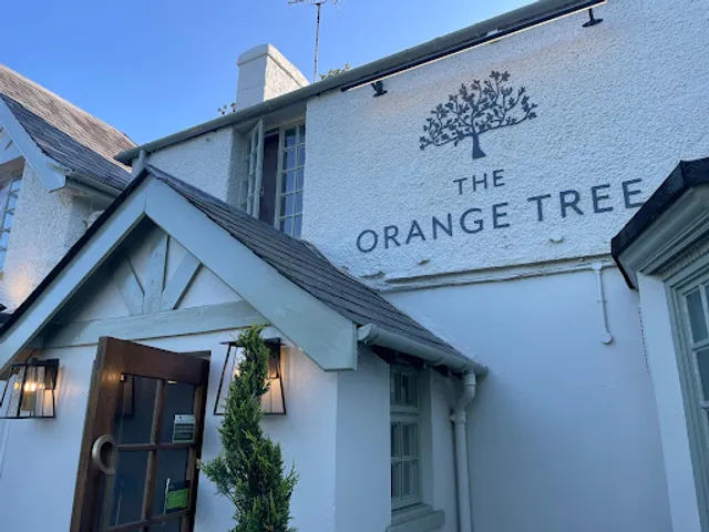 The Orange Tree