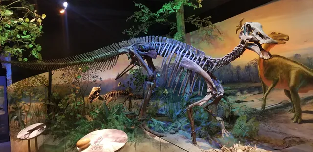 Visual World Investigate Lab