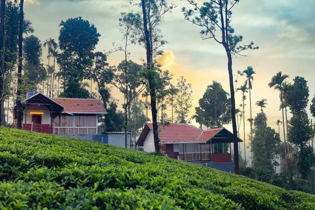 Mayflower Holiday Villa