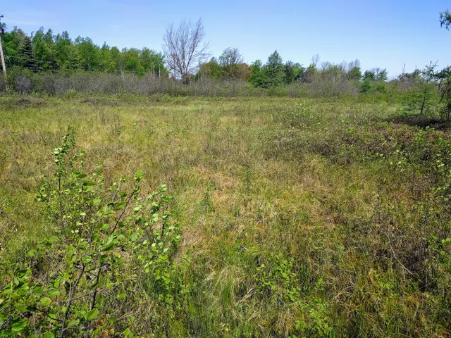 Presque Isle Park - Bog Walk