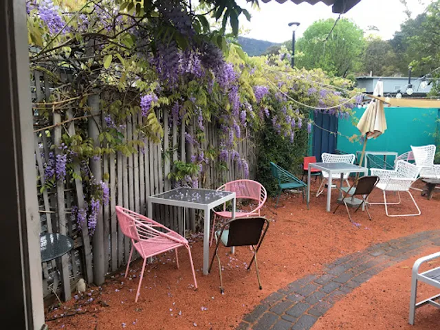 Two Mountains Merchant