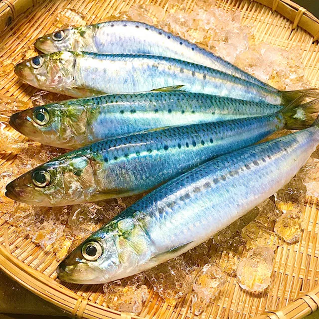 Maruichizushi