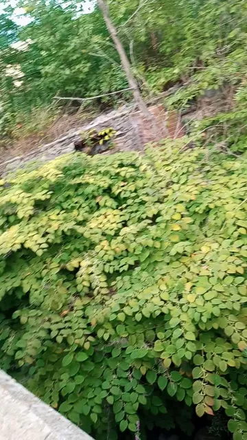 Franklin Products Inc