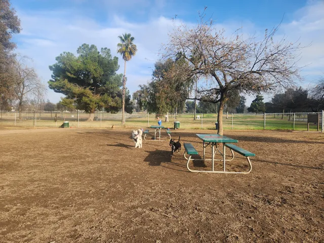 Cody Kelly Dog Bark Park