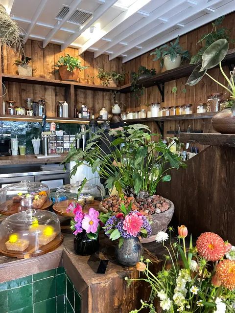 The Barista Botanist