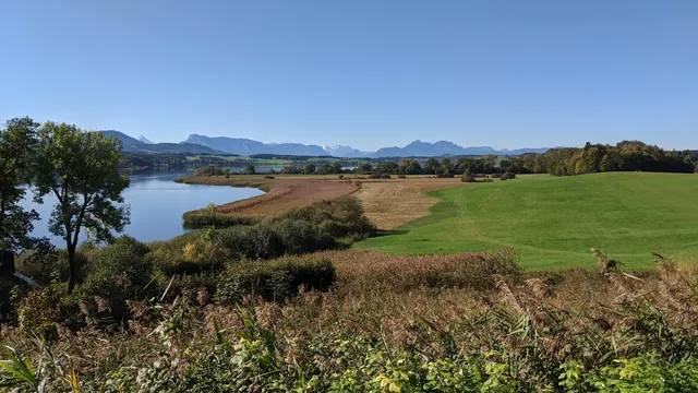 Neumarkt am Wallersee