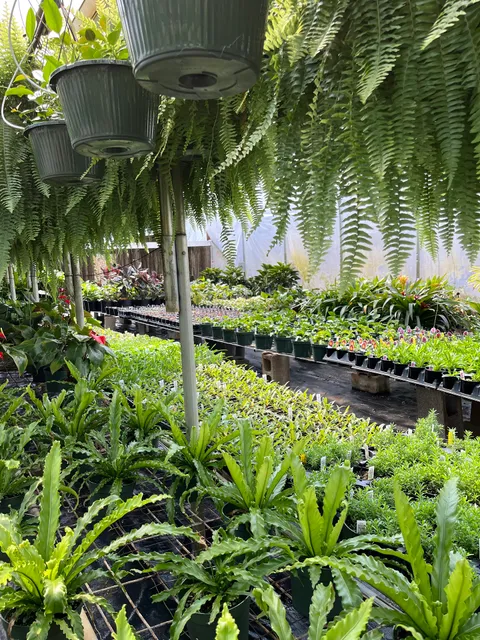 B & R Greenhouse