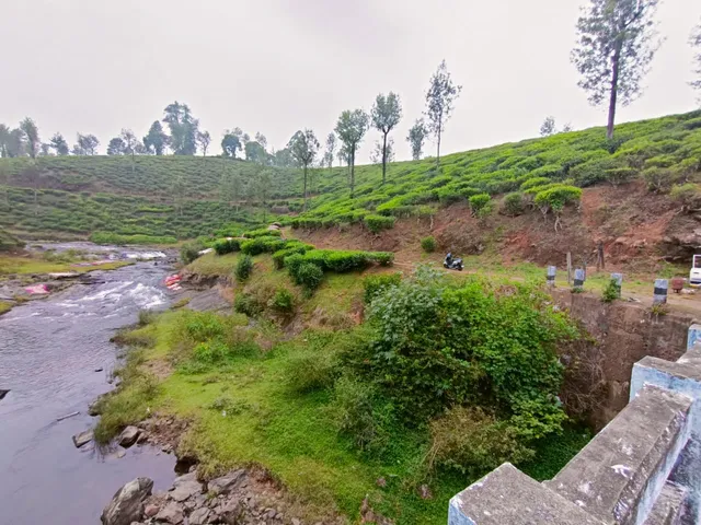 Mellow Mist Valparai