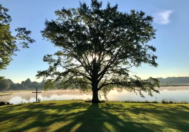 Mountain View Farms of Ashville LLC