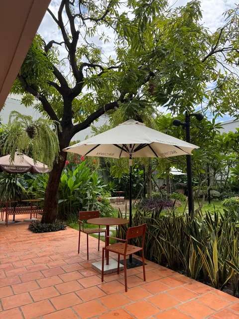 BROWN Coffee | Mao Tse Toung