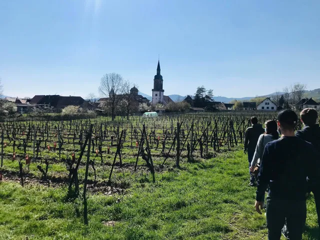 Domaine Rosfelder