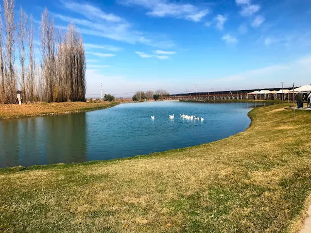 Bodega Jean Bousquet