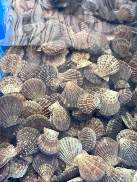 Vy hải sản (cửa hàng hải sản)