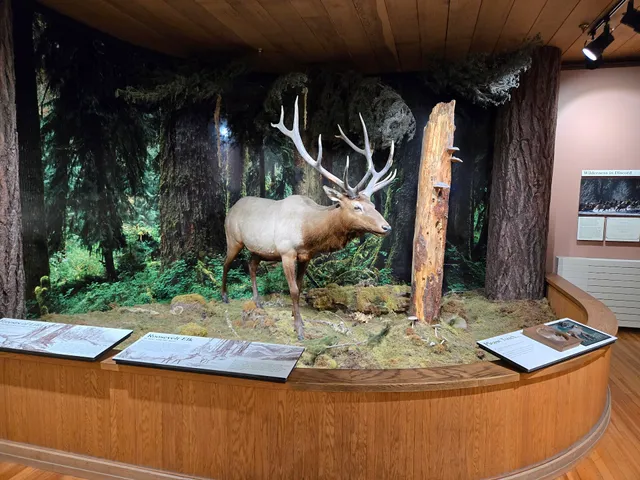 Olympic National Park, Wilderness Information Center