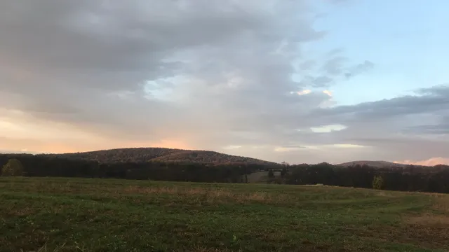 Mad Radish Farm and Market