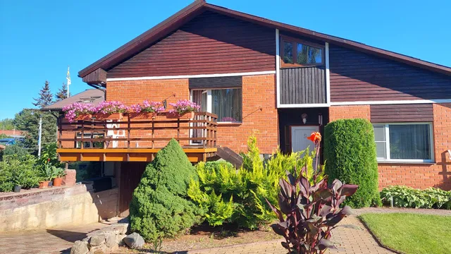 Raivo Ristimäe Woodpecker House