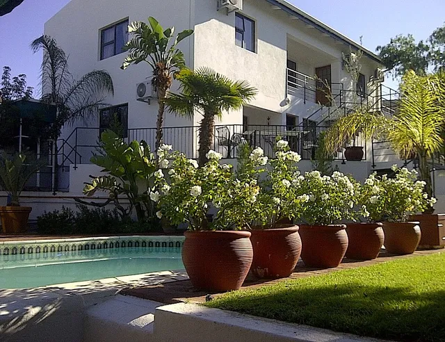 The Olive Tree Guest House