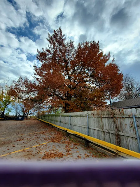 El Campesino Mexican