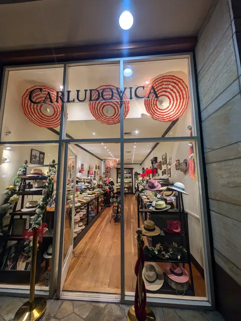 Carludovica
