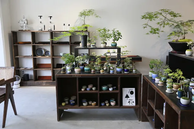 Syphon Coffee & Tea Space