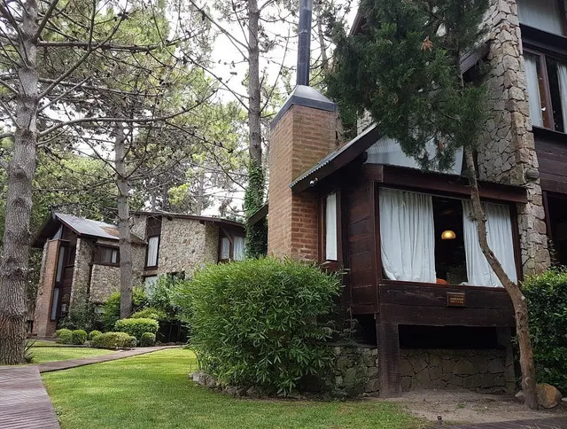 Abedul Mar de las Pampas