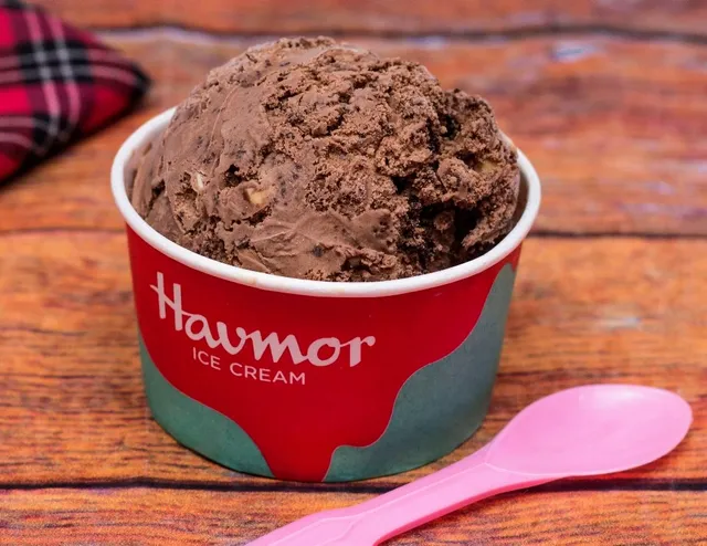 Havmor Icecream Parlour, Chankyapuri