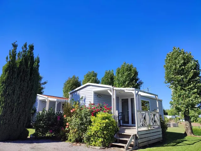 Flower Camping Vitamin'